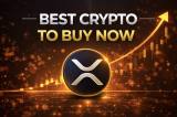 Best Crypto to Buy Now: XRP or Solana, Which One Deserves Your Capital and Is There a Better Third Choice