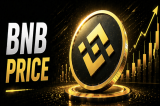 BNB Price Prediction: ChatGPT Targets $1,150 as Osaka Hard Fork Nears but Pepeto Might Be A Better Choice