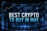 Best Crypto to Buy Now Before the Bull Run as DOGE Whales Hit Record Holdings and Pepeto Nears $10 Million