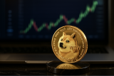 Dogecoin vs Remittix Deep Dive: Which Crypto Leads After RTX Unveils Its New Investor Dashboard?