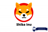 Shiba Inu – Where is it going?