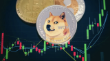 New Meme Coin HACHI Explodes 6,000% – WSM and AiDoge Next to Pump?