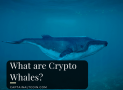 What are Crypto Whales?