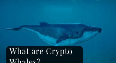 What are Crypto Whales?
