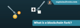 What is a Blockchain Fork?