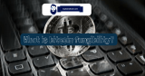 What is bitcoin fungibility?
