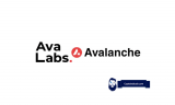 Avalanche Price Prediction 2024-2025 | AVAX Forecast
