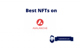 Best NFT Projects On Avalanche – Top AVAX NFTs List