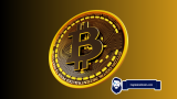 MicroStrategy’s Epic Bitcoin Gamble Makes Them an Extra $500,000,000 – Here’s How