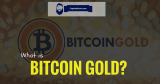 Bitcoin Gold – Another Bitcoin Fork Explained