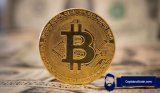 Top Analyst Predicts Bitcoin ATH Before 2024 Halving – Updates Outlook on BTC