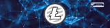 What will be a success for Litecoin (LTC) in 2019? Probably just staying alive.