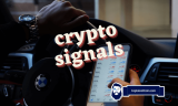 Best Crypto Signals (Telegram & Discord) – Are Crypto Groups Worth It?