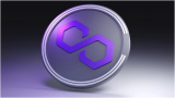 Chainlink and Polygon Holders Unite Around Raffle Coin, Drawn by the Attractive Prospect of 100X Returns