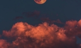 Who stands a better chance to be the Coinbase listing after ZEC: Stellar (XLM) or Cardano (ADA)