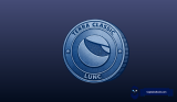 Terra Luna Classic Bulls Refuse to Give Up: Another LUNC Rally Seems Close
