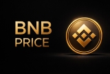 BNB Price Holds $624 as First Leveraged ETF Launches on NYSE and Pepeto Presale Looks Stronger Than BTC, ADA, SOL, and Top Altcoins