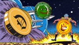 Next Crypto to Explode: 3 Meme Coins to Multiply Your Investment 1000% in May 2025