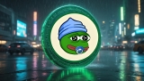 How to Buy Little Pepe (LILPEPE) and Why It’s Turning Heads in the Crypto Market in 2025