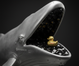 Binance Whale Crosses Chain to Ape Into Solana’s Top Token Presale