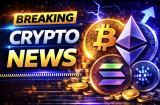 Best Crypto Presale to Buy Now: Pepeto Raises $8 Million While IPO Genie Experiments and BlockDAG Rides Hype as DOJ Dismantles SocksEscort