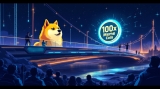 Dogecoin To Solana Bridge Excites Builders, But Retail Traders Already Found Their 100x Meme Coin For 2025 Bull Run
