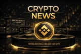 Meme Coin Price Prediction History Shows Why Early Buyers Win Big and Pepeto Could Repeat the Pattern With SOL and BNB Gaining
