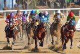 Best Horse-Racing NFT Games to Check Out in 2022