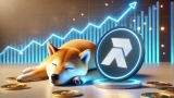 Dogecoin Struggles to Hold $0.16 as RCO Finance Climbs with Stronger Fundamentals
