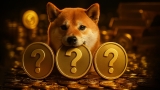 3 Best Altcoins to Buy Now if You Missed the Shiba Inu and Dogecoin Rally