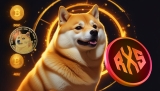 Can ChatGPT-4o and Elon’s Grok AI Accurately Predict the Next Dogecoin (DOGE) for a 22000% ROI This Cycle?