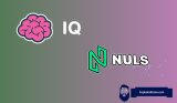 NULS and IQ Are Surging, Here’s Why 