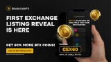 Everyone Missed Early Pepe and BNB – Will They Miss BlockchainFX ($BFX) Too?