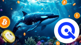Dogecoin Price Movement: DOGE Price Jumps 12% On Whale Accumulation, Quantitative Research Analyst Says