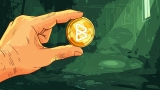 Pepe Coin Price vs Bitgert: Investors Switch to Bitgert for Stability