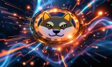 $1,000 In Shiba Inu Made Millionaires In 2021: Best Cryptos That Can Repeat This Success