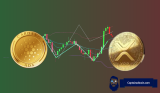 Crypto Market Rebound? Wallet Data Says ADA and XRP Are Still Bleeding