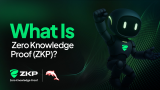 Zero Knowledge Proof (ZKP): A New AI Blockchain Project Redefining Privacy and Trust!