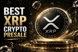 Best Crypto Presale to Buy Now in May 2026: Cardano Ships Protocol 11, XRP Tests $1.38, Pepeto Tops $9.86M