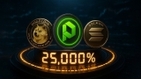Here’s When To Buy Dogecoin (DOGE), Paydax (PDP), And Solana (SOL) At The Right Time To Secure 25,000% Gains