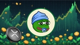 Ripple (XRP) Flashes Rare Signal That Started 800% Rally in 2021 as Little Pepe (LILPEPE) Gains Steam Under $0.0025