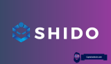 Why Has SHIDO Price Surged Over 30% Today? Investors Anticipate More Bullish Rally as Mainnet Completion Date Nears