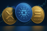 Here’s Why XRP ETF’s May Have The Lead Over Solana – Whales Accumulate 100x XRP Rival