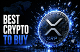 XRP Whales Buy 72 Million in One Day as Pepeto Grabs the Best Altcoin To Buy Spotlight