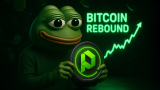 Pepe, Kaspa, and PDP Become the Top Altcoins to Buy as the Bitcoin Price Rebounds