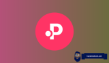 Why Polkadot (DOT) Price Might Not Return to $50 in 2025 Despite Ecosystem Growth