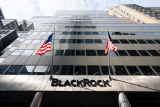BlackRock CEO’s Take on Ethereum ETF ; Chainlink & Borroe Finance Rise in Popularity