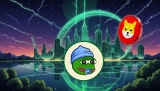 Here’s Why This Token Going Up Against Shiba Inu (SHIB) Could Soar 21,794% in the Second Half of 2025