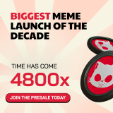 Best Long-Term Crypto? Punisher Coin Offers Utility, Meme Monetization, Passive Income & Staking in One Token