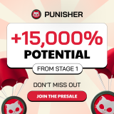 Punisher Coin Goes Viral After Explosive Presale Launch – Is This the Start of The Next 1000x Meme Coin?